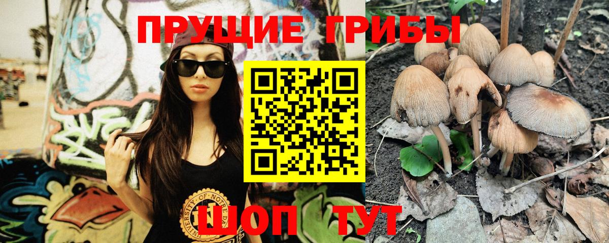 как найти закладки  Псилоцибиновые грибы Psilocybe  Вход с VPN  Галлюциногенные грибы MAGIC MUSHROOMS  Пыть-Ях 